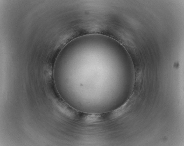 X0000091970179200709061340