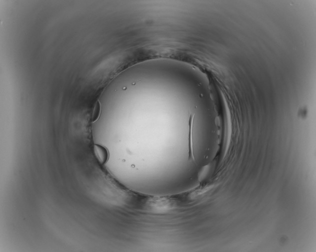 X0000091970181200709061340
