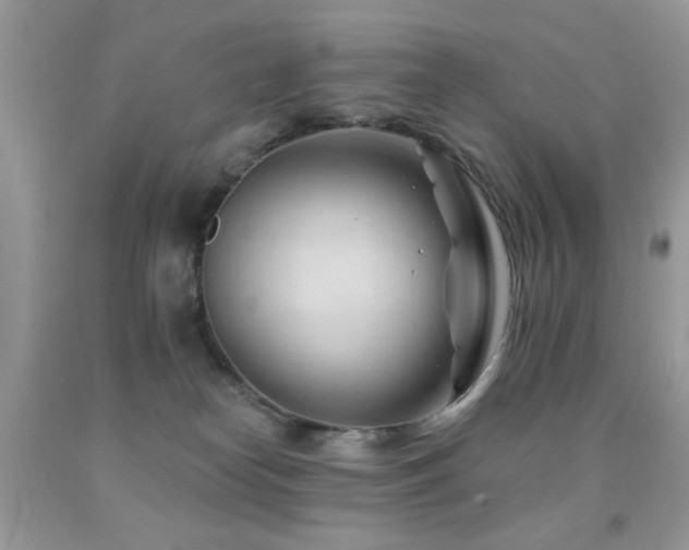 X0000091970182200709061340