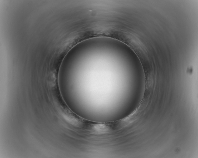 X0000091970183200709061340