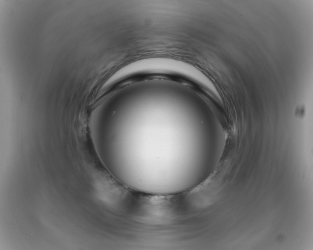 X0000091970184200709061340
