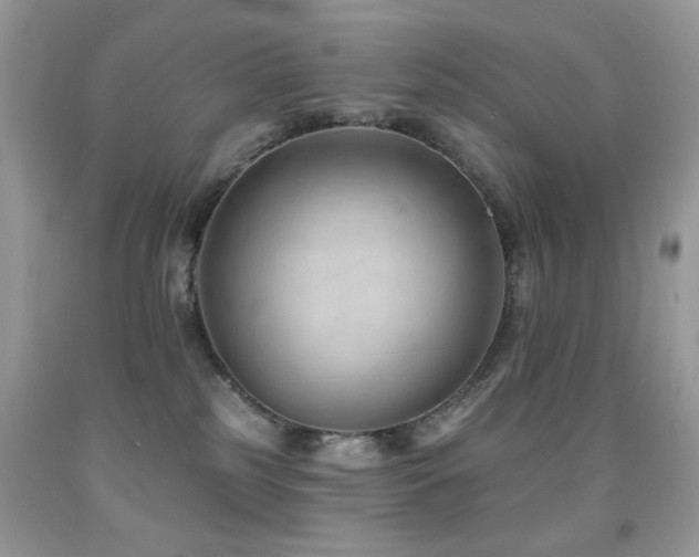 X0000091970185200709061340