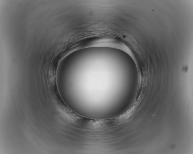 X0000091970186200709061340