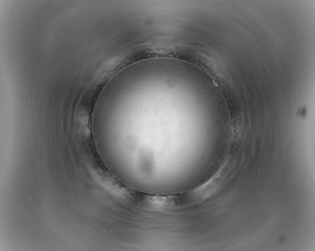 X0000091970187200709061340