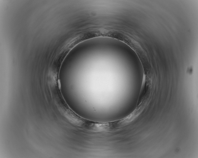 X0000091970188200709061340