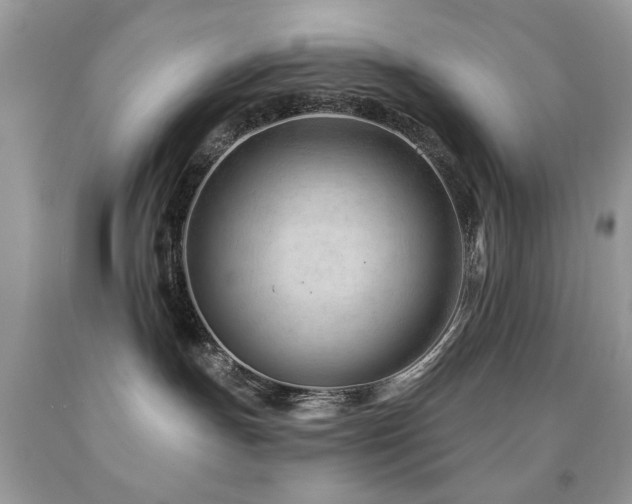 X0000091970191200709061340
