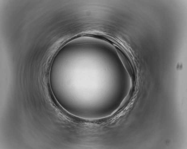 X0000091970193200709061339