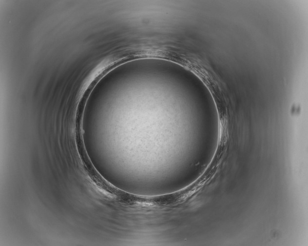 X0000091970195200709061339