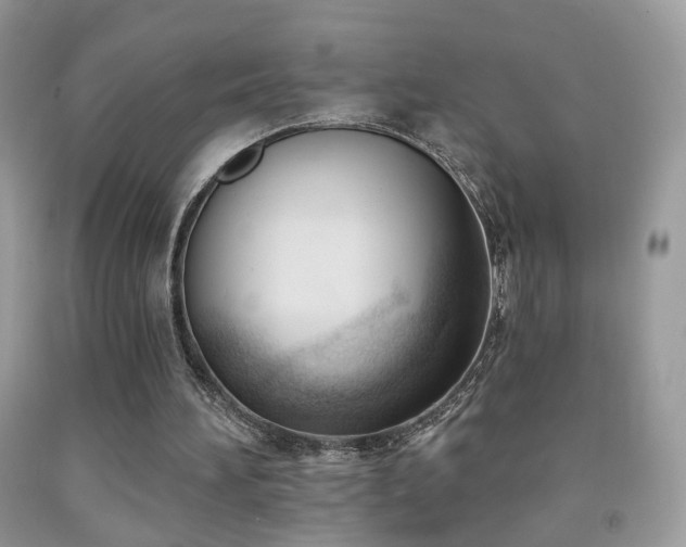 X0000091970196200709061339