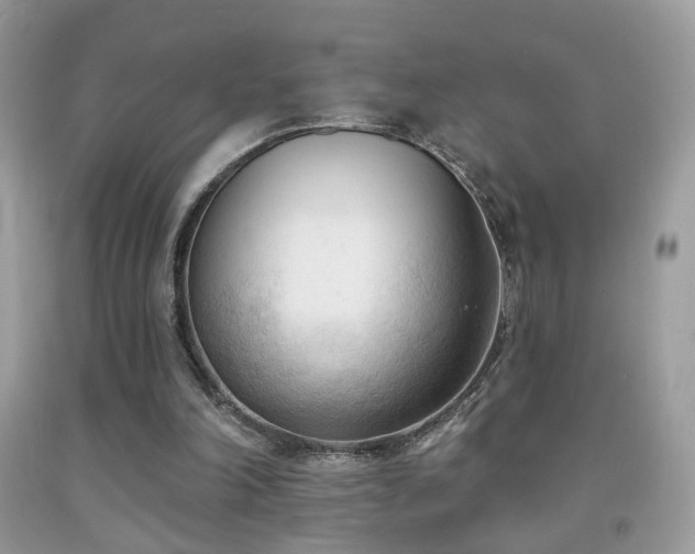 X0000091970198200709061339