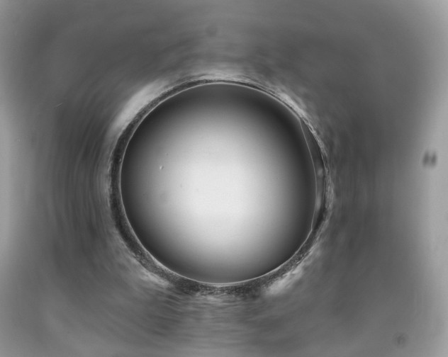 X0000091970199200709061339