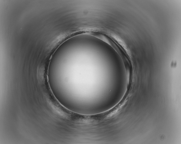 X0000091970201200709061339