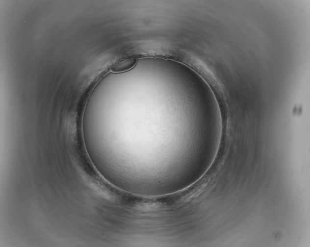 X0000091970202200709061339
