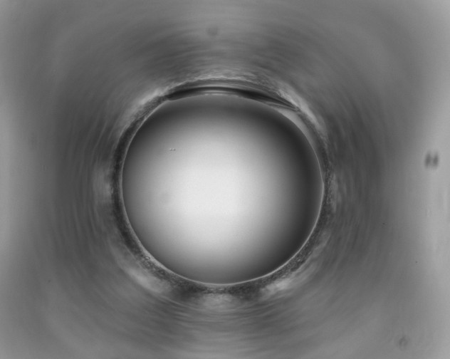 X0000091970203200709061339