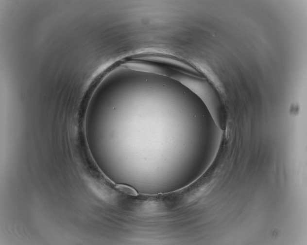 X0000091970204200709061339