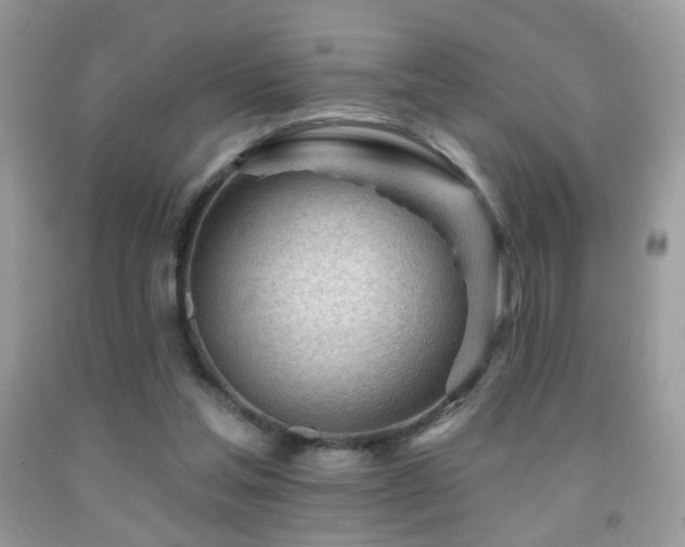 X0000091970205200709061339