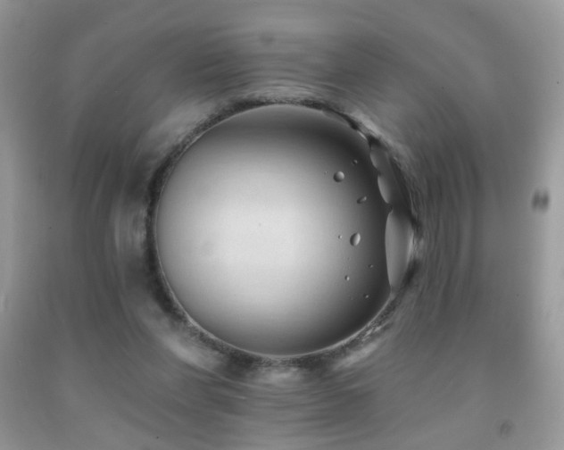 X0000091970206200709061339