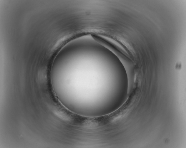 X0000091970207200709061339