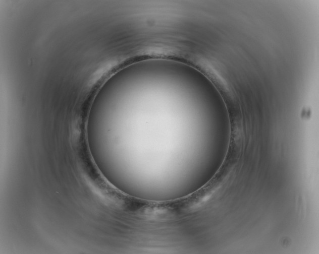 X0000091970208200709061339