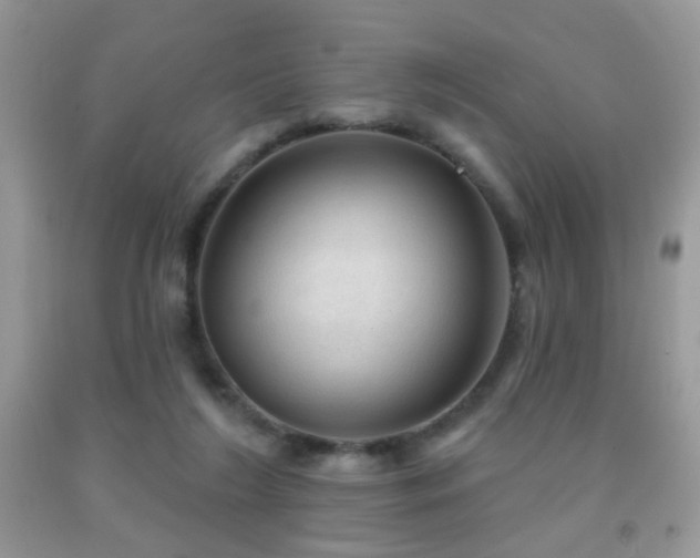 X0000091970212200709061339