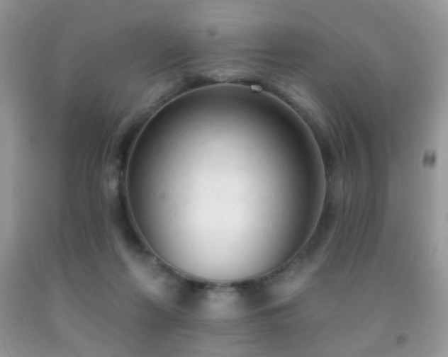 X0000091970214200709061339