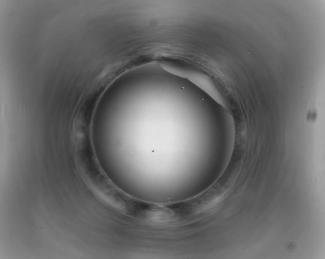 X0000091970215200709061339