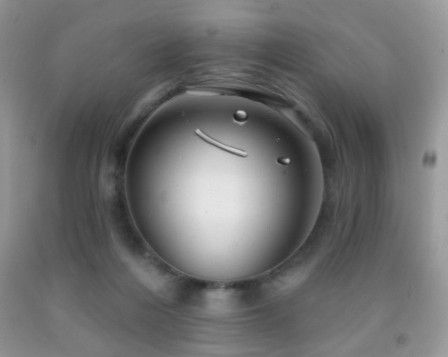 X0000091970216200709061339