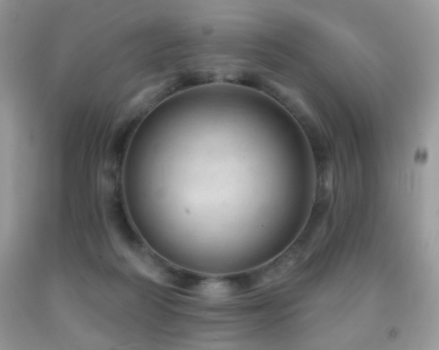 X0000091970218200709061339