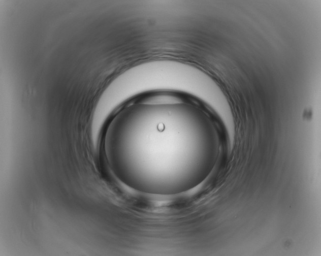 X0000091970219200709061339