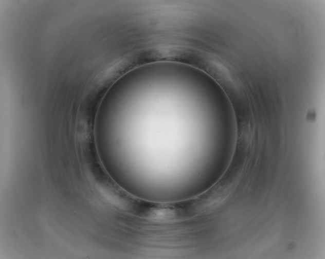 X0000091970220200709061339