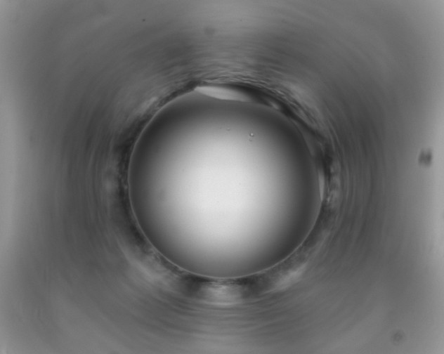 X0000091970221200709061339