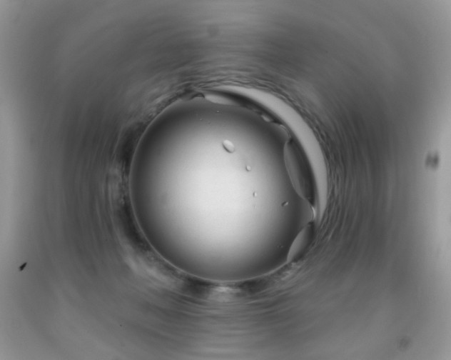 X0000091970222200709061339