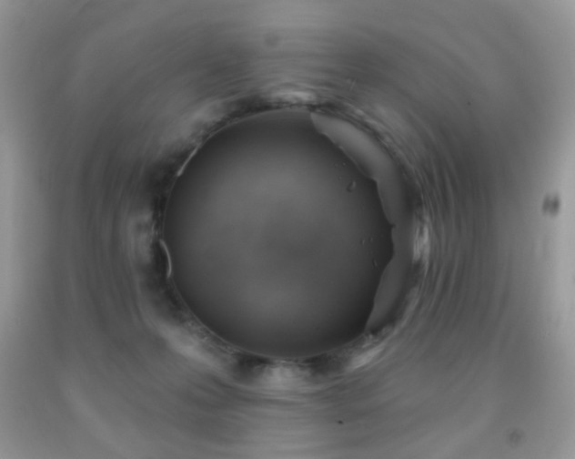 X0000091970223200709061339
