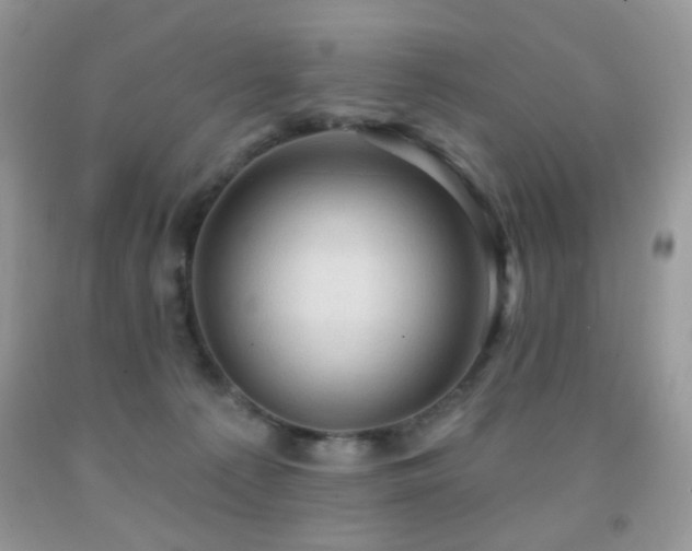 X0000091970225200709061339