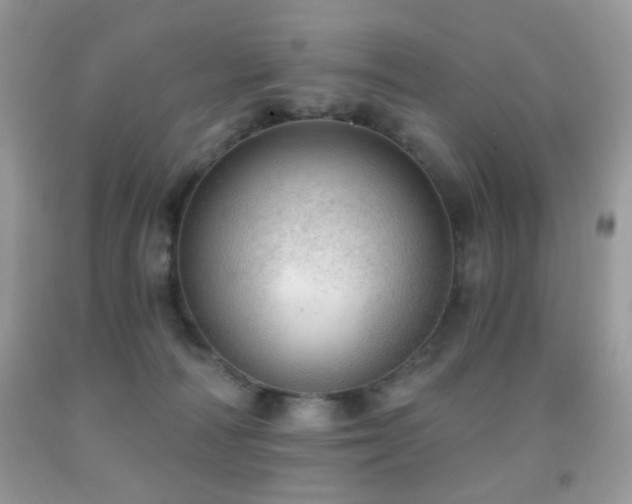 X0000091970226200709061339