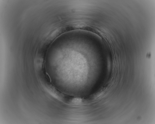 X0000091970227200709061339