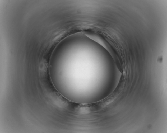 X0000091970228200709061339