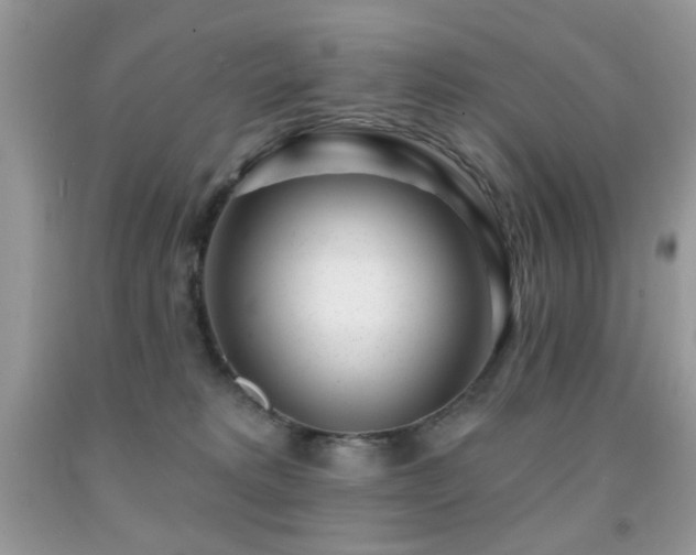X0000091970229200709061339