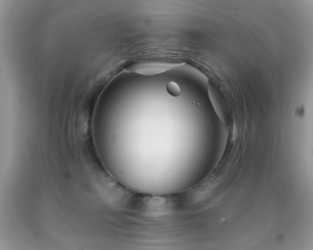 X0000091970230200709061339