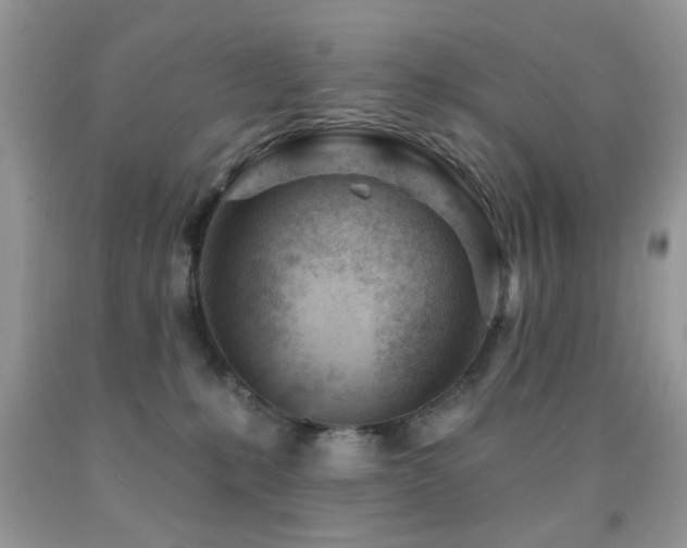 X0000091970231200709061339
