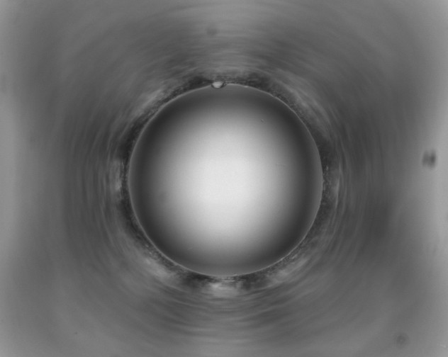 X0000091970232200709061339