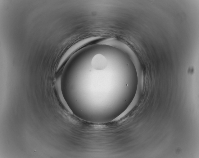 X0000091970233200709061339