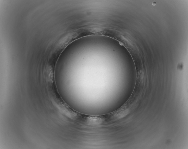 X0000091970234200709061339