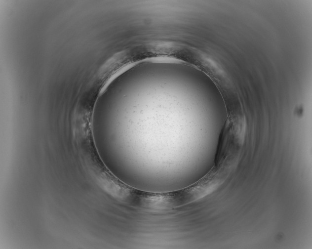 X0000091970237200709061339