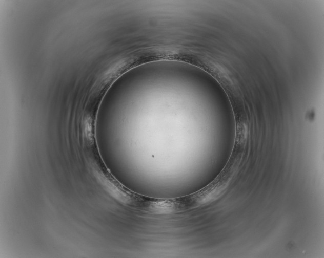 X0000091970238200709061339