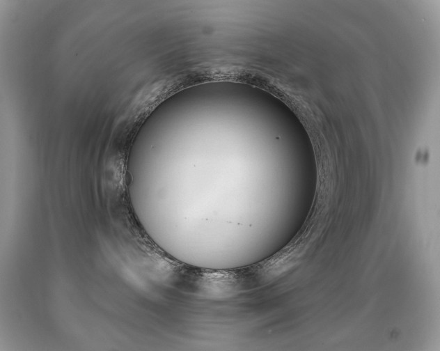 X0000091970240200709061339