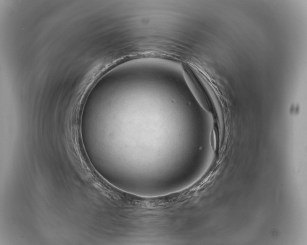 X0000091970241200709061338