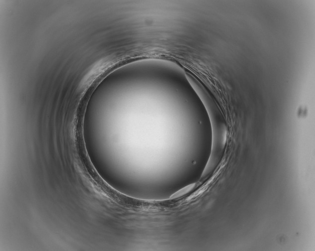 X0000091970242200709061338