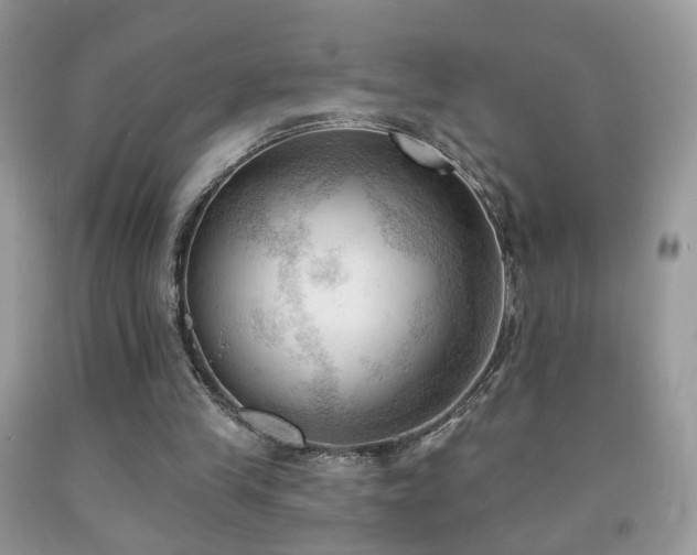 X0000091970245200709061338