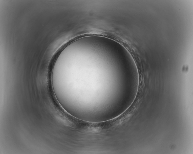 X0000091970247200709061338
